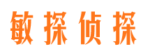 阳山市侦探调查公司